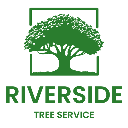 Shredder's Tree Service Logo PNG